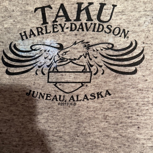 Harley-Davidson Women's Heather Gray and Light Purple Long Sleeve Top - Picture 4 of 5